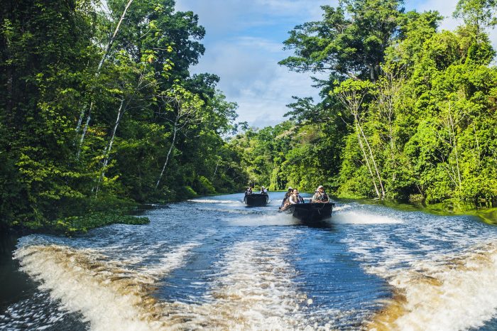 Aria Amazon Explorer Cruise – Perú